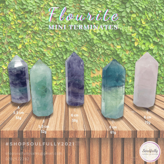 Small Single Terminated FLUORITE Tower Generators