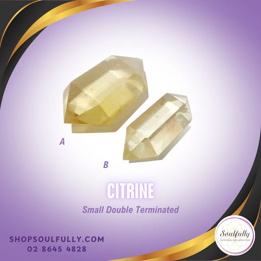 Small Double Terminated CITRINE Generator